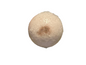 Pretty In Pink Bath Bomb